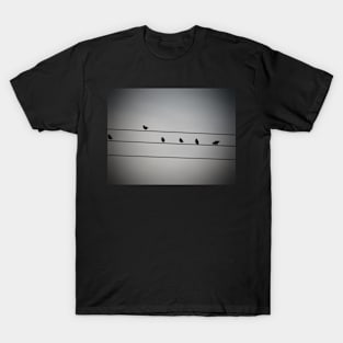 Shadow Line T-Shirt